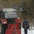 Der Narrenbaum wird gefällt